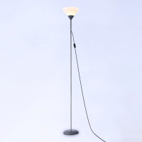 Торшер с лампочкой Ambrella light TR97615+Lamps