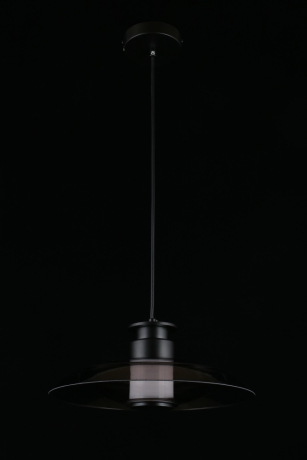 Светильник подвесной Aployt Stefa APL.648.06.10 