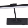 Подсветка для картины Arte Lamp Harrison A1709AP-1BK 
