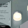 Встраиваемый светильник с лампочкой Ambrella light TN651+Lamps 