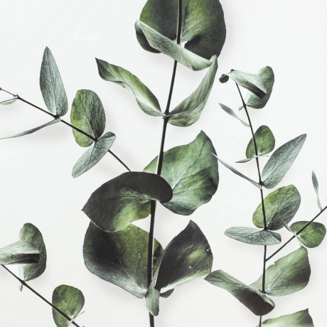 Картины и панно