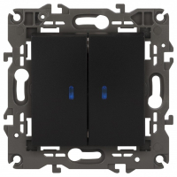 Выключатель двухклавишный с подсветкой без рамки Эра Эра Elegance 14-1105-05