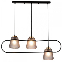 Подвесной светильник Indigo Astratto 11016/3P Black