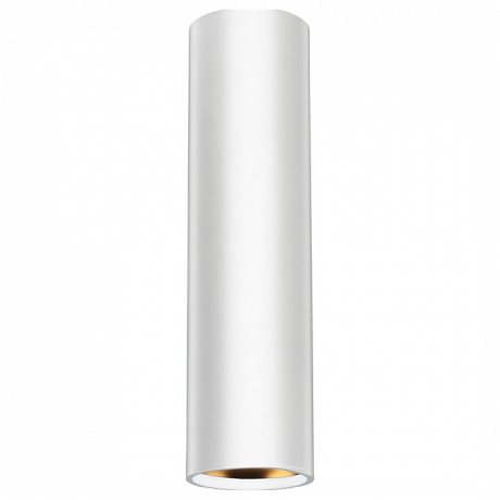 Подвесной светильник Эра PL1 PL1 GU10 WH 300 