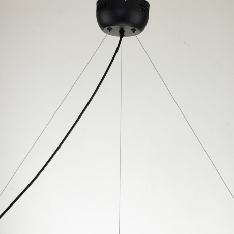 Подвесная люстра Favourite Light point 2997-9P 