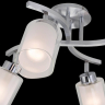 CL169141 Потолочная люстра-спот Citilux Аэлита 