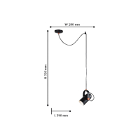 2007-1P Подвесной светильник Favourite Ampolla