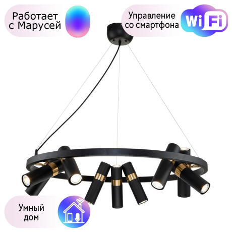 Подвесная люстра Favourite Light point с поддержкой Маруся 2997-9P-М 