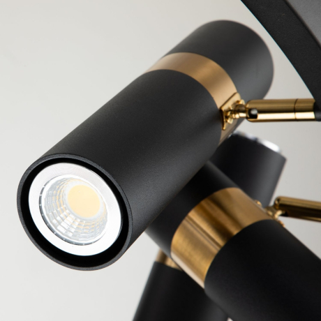 Подвесная люстра Favourite Light point с поддержкой Маруся 2997-9P-М 