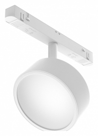 Светильник на штанге Maytoni Technical Rado TR040-2-18W3K-W