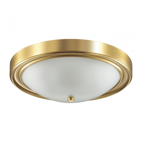 Потолочный светильник со светодиодными лампочками E27, комплект от Lustrof. №369350-642549 