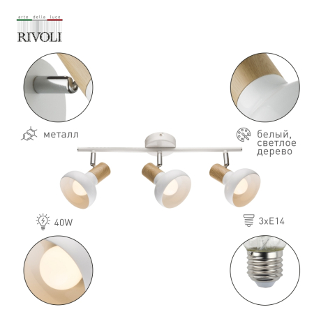 Светильник спот с Led лампочками в комплекте Rivoli Б0054688+Lamps 