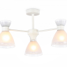 Люстра на штанге Ambrella Light TR TR3177 