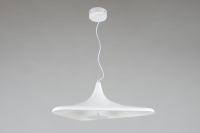 Светильник подвесной Aployt Silvi APL.649.16.08