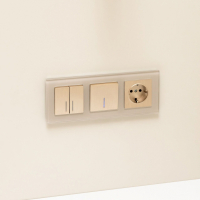 Выключатель двухклавишный с подсветкой (шампань рифленый) Werkel W1120110