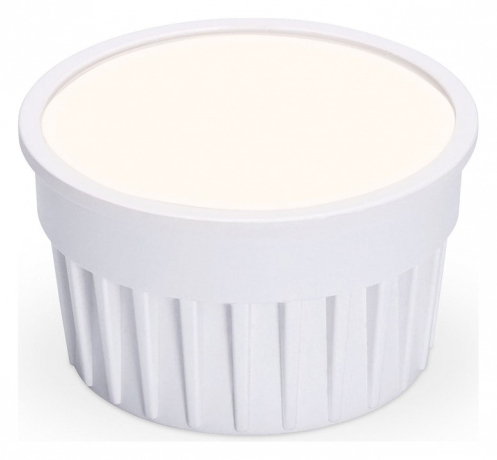 Модуль светодиодный Ambrella Light MR 207407 