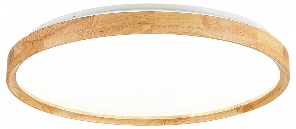 Накладной светильник EVOLUCE DELIA SLE201382-01 