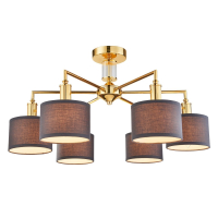 Потолочная люстра Favourite Laciness с поддержкой Алиса 2612-6P-A