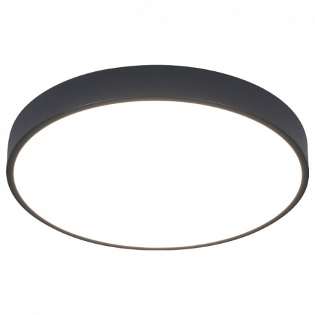 Накладной светильник Arte Lamp Arena A2661PL-1BK 