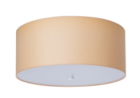 Потолочный светильник ТопДекор Relax P1 10 09g