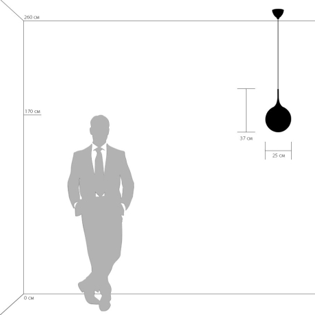 Подвесной светильник Lightstar Globo 813032 
