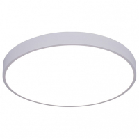 Накладной светильник Arte Lamp Arena A2670PL-1WH