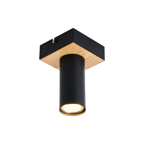 Потолочный светильник F-Promo Olson 4431-1C 