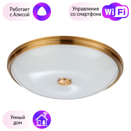 Настенно-потолочный светильник Pelow Odeon Light с поддержкой Алиса 4956/5-A 