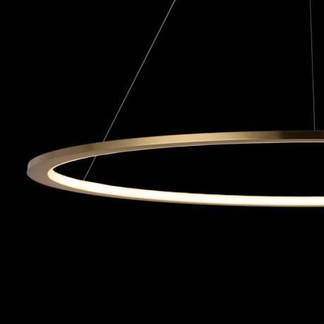 Светильник подвесной светодиодный LOFTIT Ring 10014L 