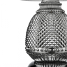 Настольная лампа декоративная Vele Luce Fiona VL5623N21 