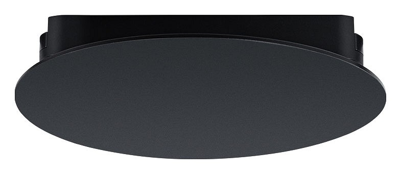 Накладной светильник Arte Lamp Rapid A6163PL-1BK 