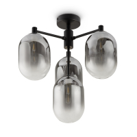 Потолочный светильник Freya Tesse FR1011PL-04B