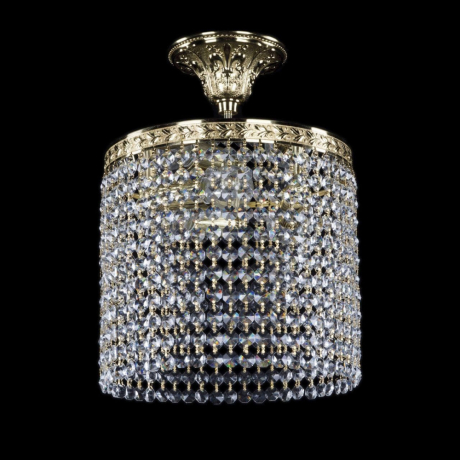 Потолочная люстра Bohemia Ivele 19201/25IV G R 