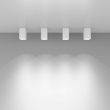 1085 GU10 WH белый матовый Накладной потолочный светильник Elektrostandard 