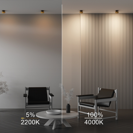 Встраиваемый светильник Technical DL024-12W-DTW-BMG 