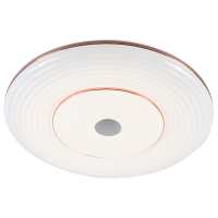 Потолочный светодиодный светильник Profit Light 2147/300 WH+CR 36W 4200K