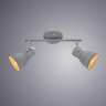 Спот Arte Lamp A1677PL-2GY 