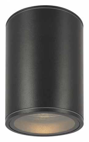 Потолочные уличные светильники