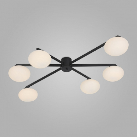 Потолочная люстра Eurosvet Opaline 70220/6 черный 