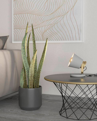 Настольная лампа Eglo Twicken 43841 