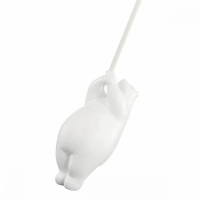 Потолочный светильник Evoluce Modena SLE115412-01