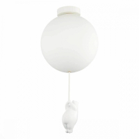 Потолочный светильник Evoluce Modena SLE115412-01