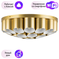 Потолочный светильник Lightstar с поддержкой Алисы, Siena 720222