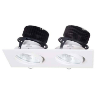 Dl18461/02WW-White SQ Dim Встраиваемый поворотный точечный светильник с диммером Donolux