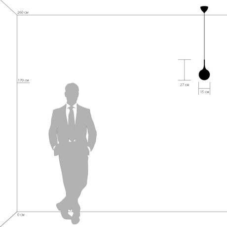813013 Светильник подвесной LightStar Globo 