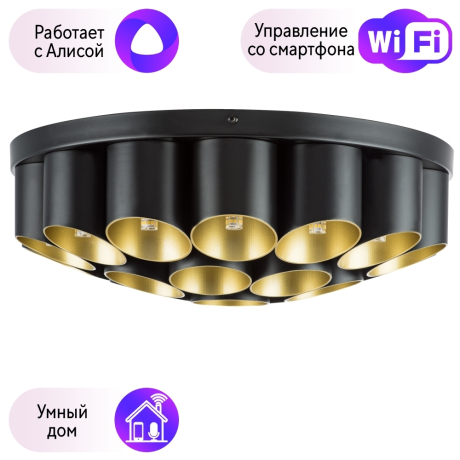 Потолочный светильник Lightstar с поддержкой Алисы, Siena 720227 