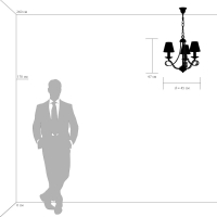 705032 Подвесная люстра Lightstar Riccio