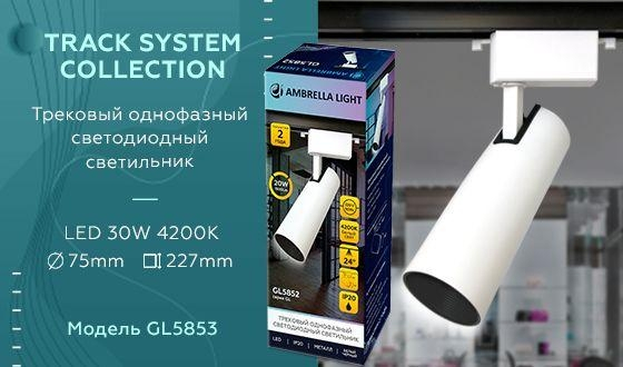 Однофазный LED светильник 30W 4200К для трека Ambrella light Track System GL5853 WH/BK 