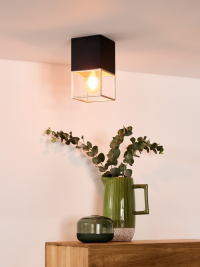 21120/01/30 Потолочный светильник Lucide Rixt