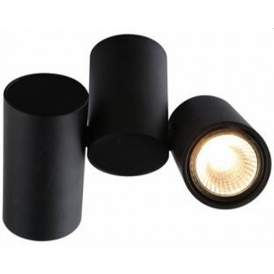 Спот Arte Lamp Gavroche A1511PL-2BK 